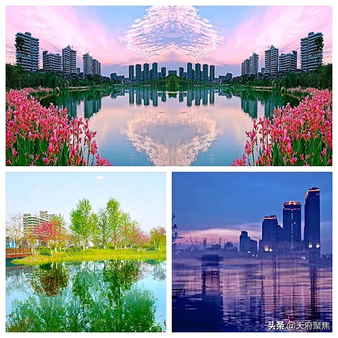 仁寿保利楼盘最新消息全解析，获取指南与深度了解（初学者与进阶用户必看）