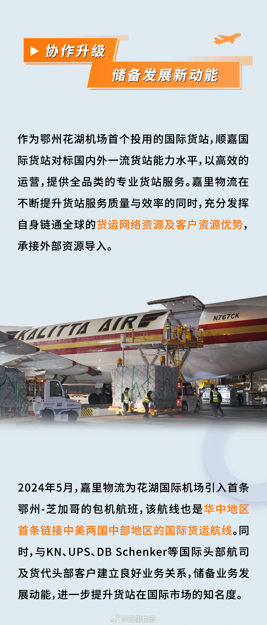 西顺嘉与自然美景的邂逅，内心平和之旅的最新消息
