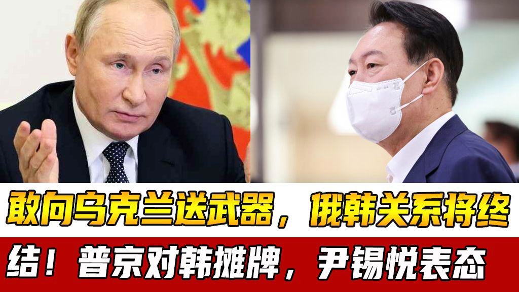 俄韩关系最新动态，多维度分析当前关系进展与观点碰撞