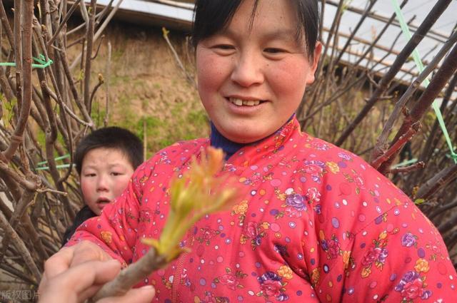 国家最新农村创业项目启动新征程！