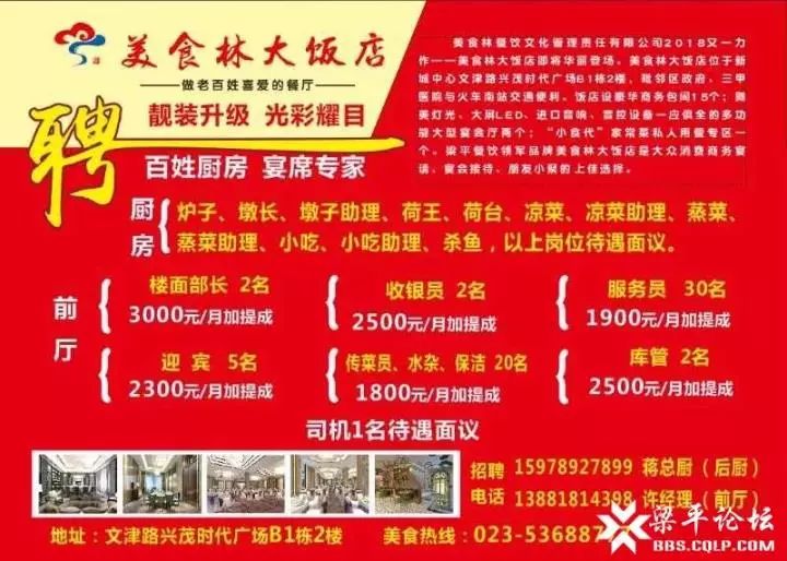邓州送货员招聘最新动态，岗位解析与观点论述