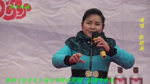 曲剧张晓英最新专辑，音乐与艺术的璀璨融合之作